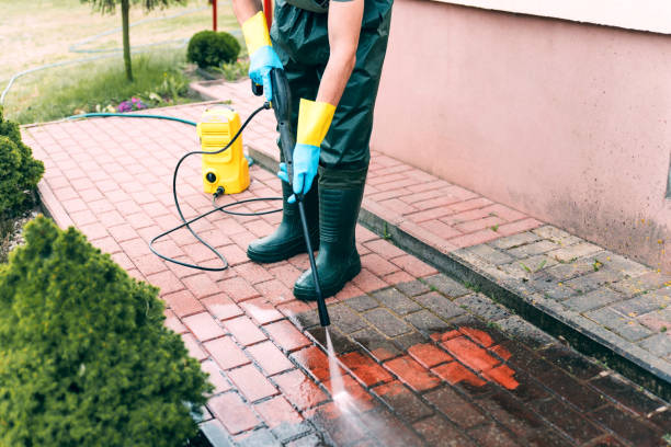 Best Roof Pressure Washing  in Plain City, UT