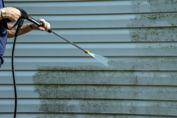 Best Roof Pressure Washing  in Plain City, UT
